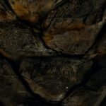 a close up of a rock wall with a cell phone